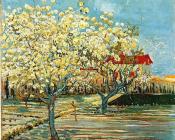 文森特 威廉 梵高 : 盛开的果园